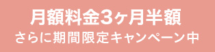 月額料金3ヶ月半額、さらに期間限定キャンペーン中