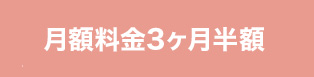 月額料金3ヶ月半額